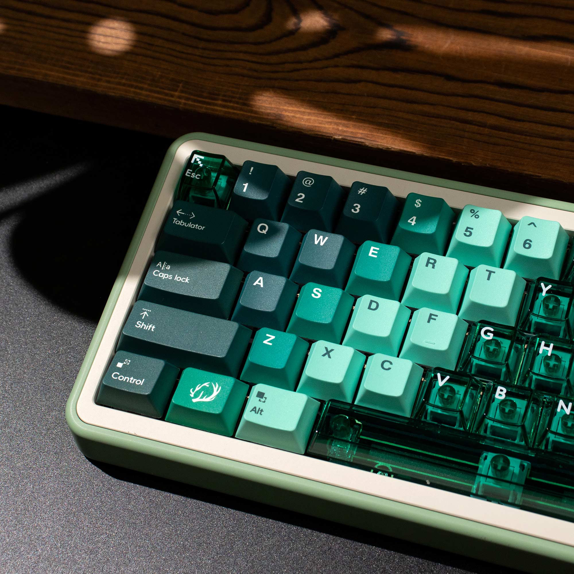 PBT PC keycaps Gradient Green  - đánh giá và giá Retro Gaming Keycaps